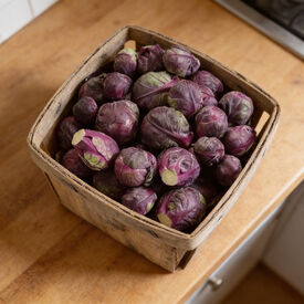 Redarling, (F1) Brussels Sprout Seeds